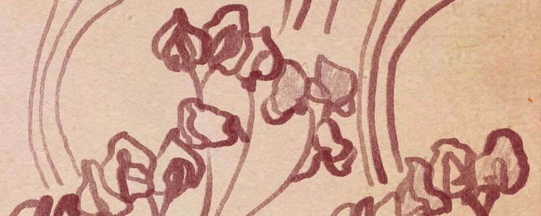 Mario & Viridiana's Wedding